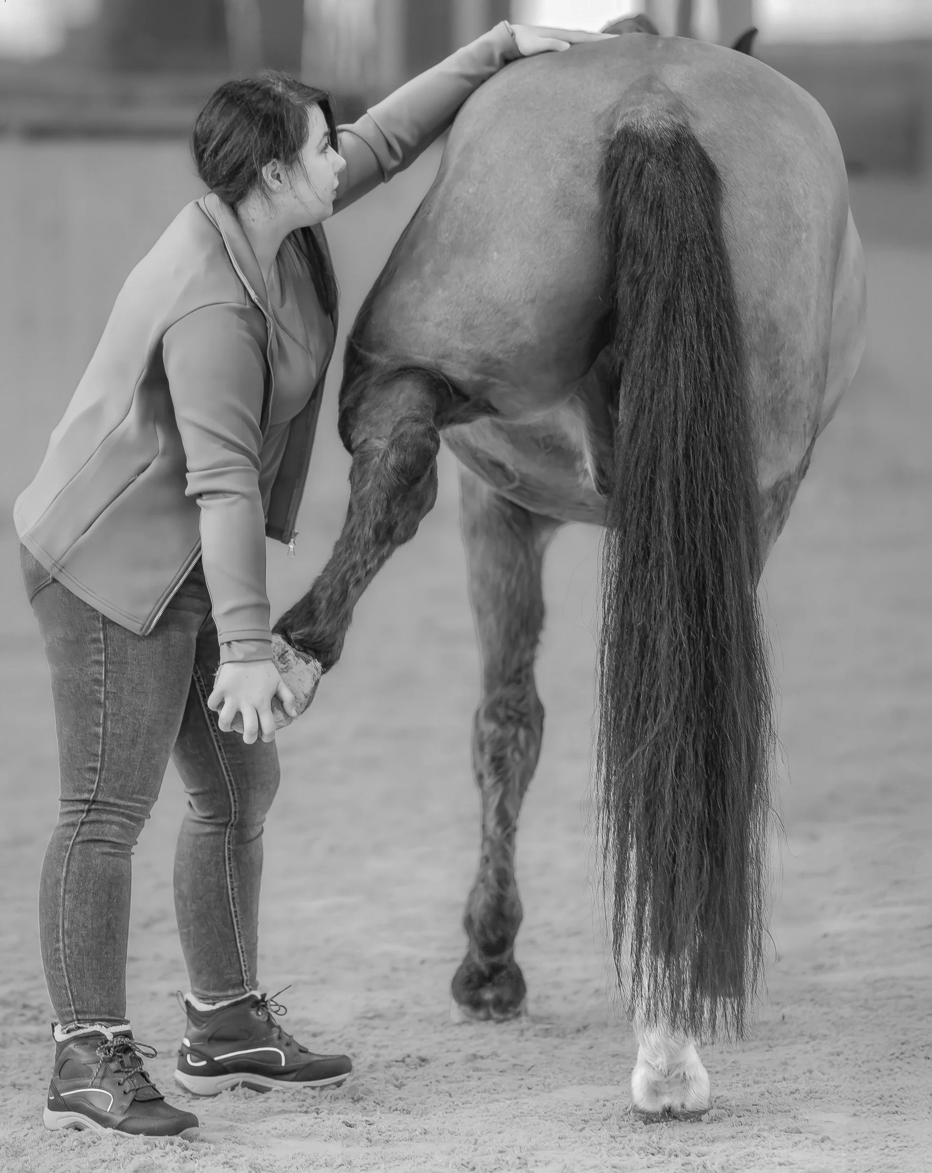 Terapia manualna konia wykonywana w okolicy zadu