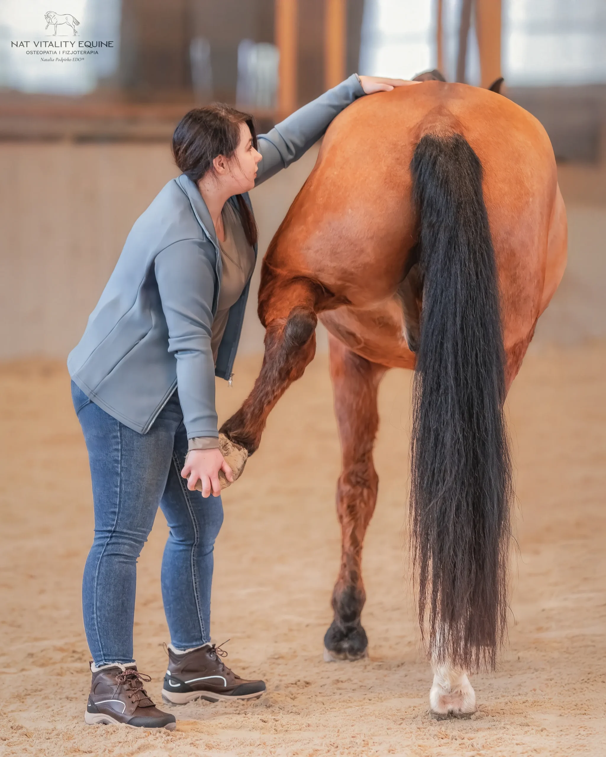 Terapia manualna konia wykonywana w okolicy zadu