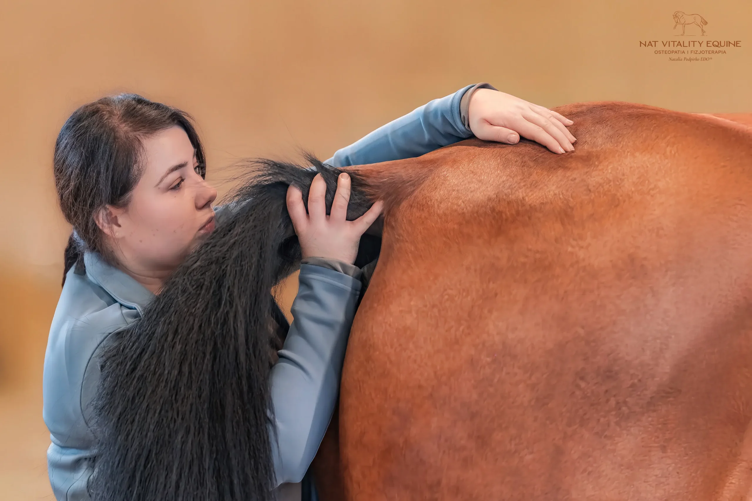Rozluźnianie mięśni grzbietu konia poprzez odpowiednie techniki manualne