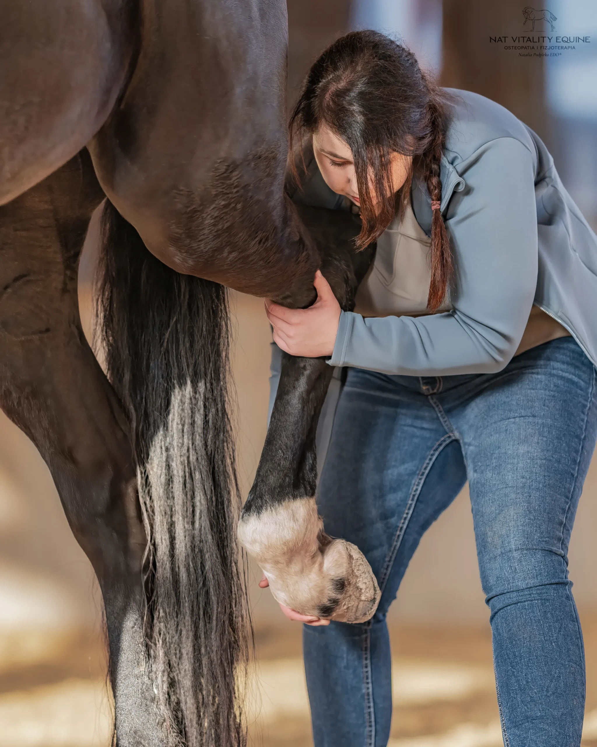 Praca przy kopycie konia obejmująca elementy fizjoterapii i poprawy funkcjonowania kończyny