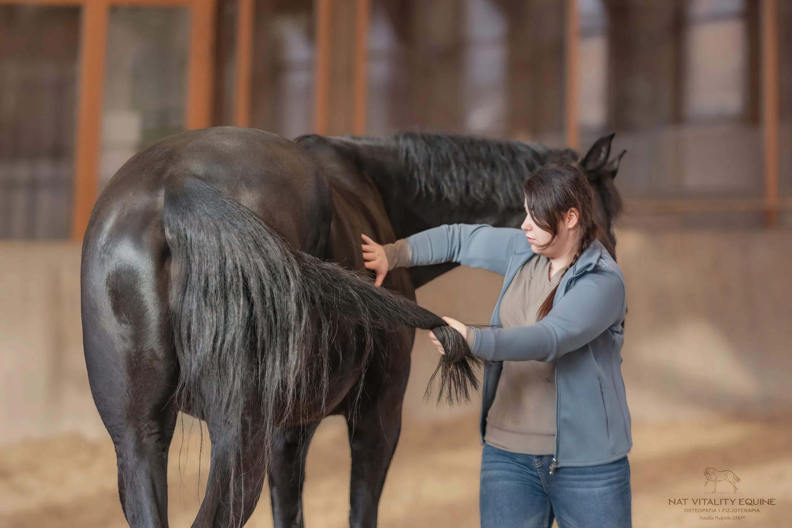 Fizjoterapeutka pracująca przy tylnej nodze konia podczas terapi